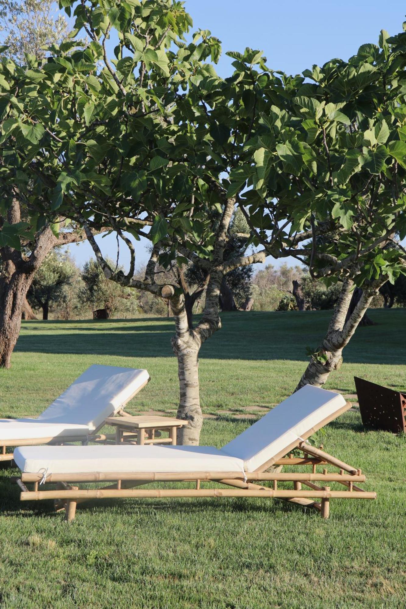 Secolario Masseria Del Viverbene Palmariggi Zewnętrze zdjęcie